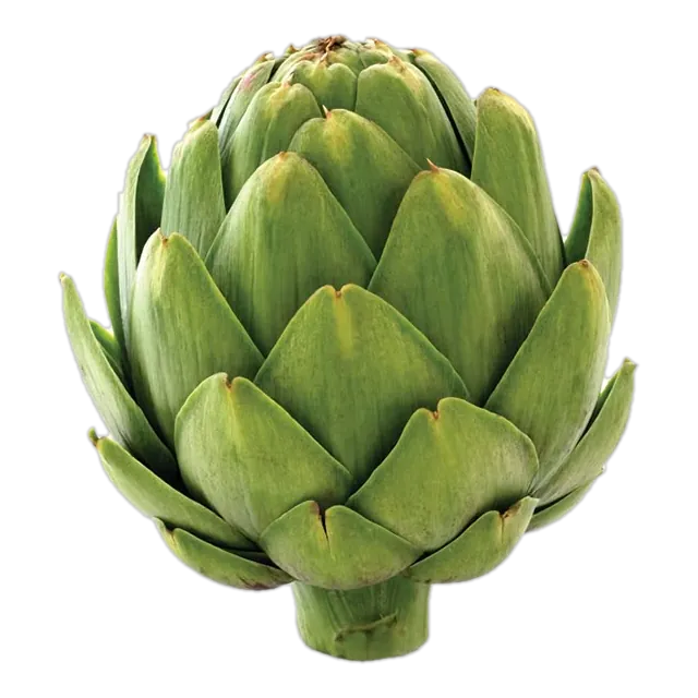 Alcachofa