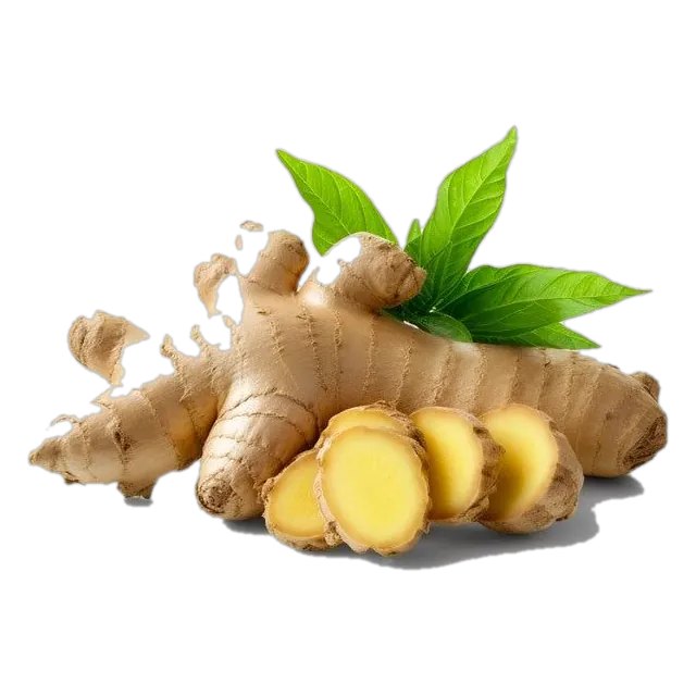 Jengibre